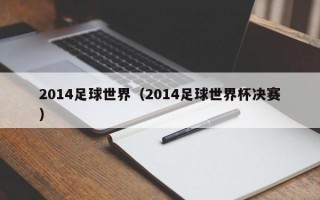 2014足球世界（2014足球世界杯决赛）