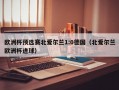 欧洲杯预选赛北爱尔兰1:0德国（北爱尔兰欧洲杯进球）