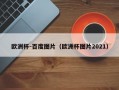 欧洲杯-百度图片（欧洲杯图片2021）