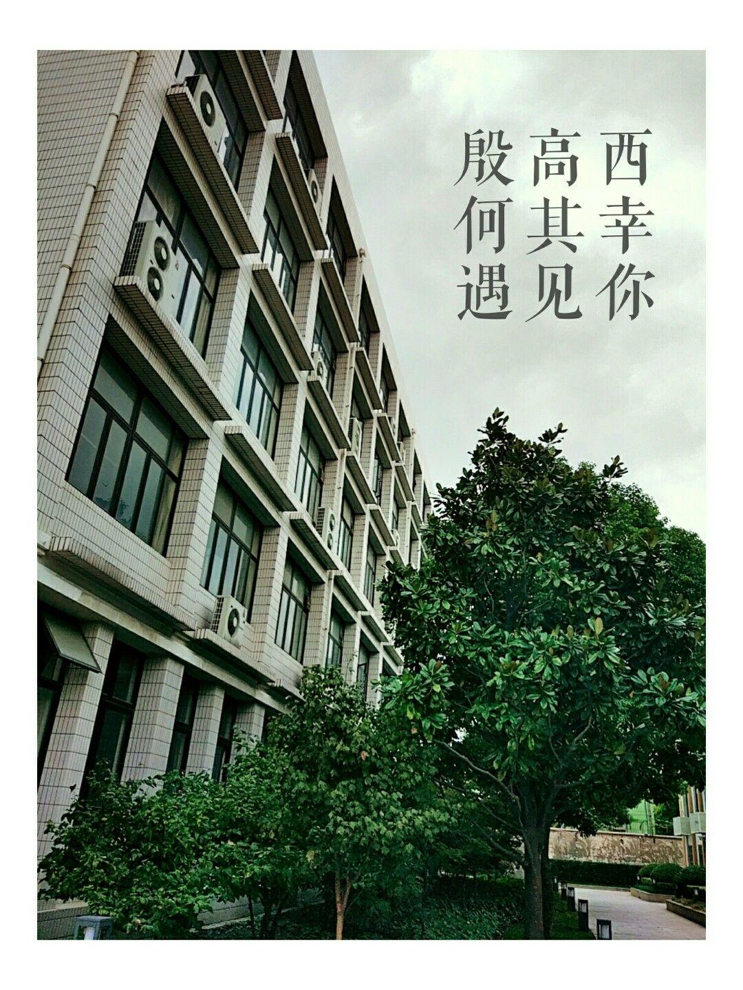 在上海交通大学附属中学就读是怎样一番体验？-第171张图片-足球直播_足球免费在线高清直播_足球视频在线观看无插件-24直播网