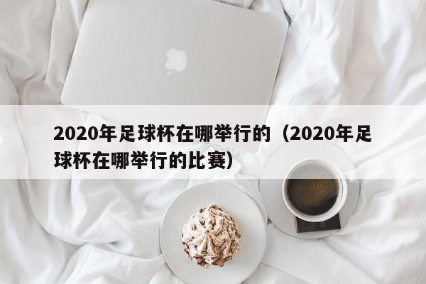 2020年足球杯在哪举行的（2020年足球杯在哪举行的比赛）-第1张图片-足球直播_足球免费在线高清直播_足球视频在线观看无插件-24直播网